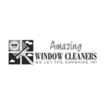 Amazin windows logo V2